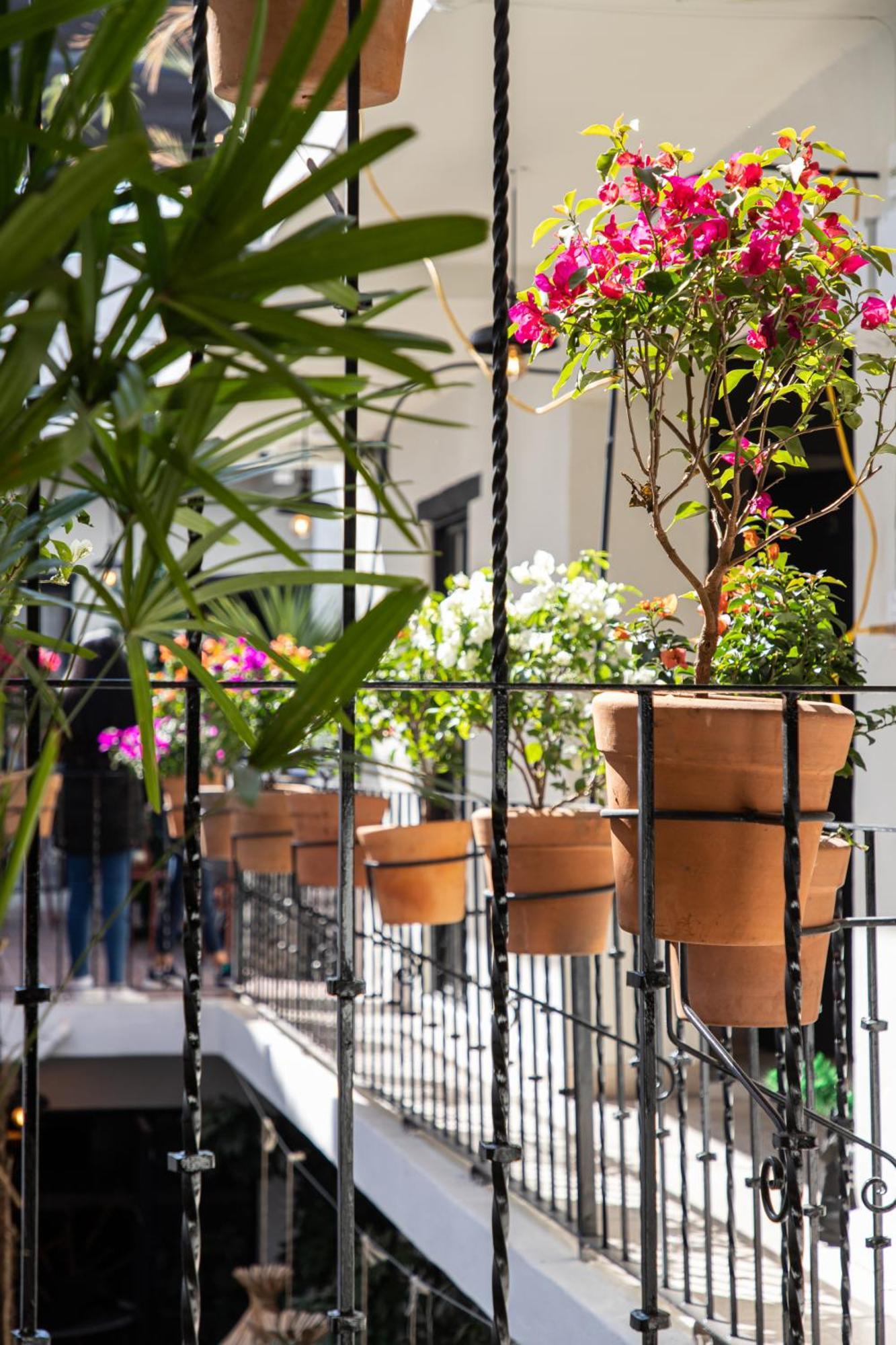 Holt Hotel Del Pueblito Σαν Μιγκέλ ντε Αγιέντε Εξωτερικό φωτογραφία